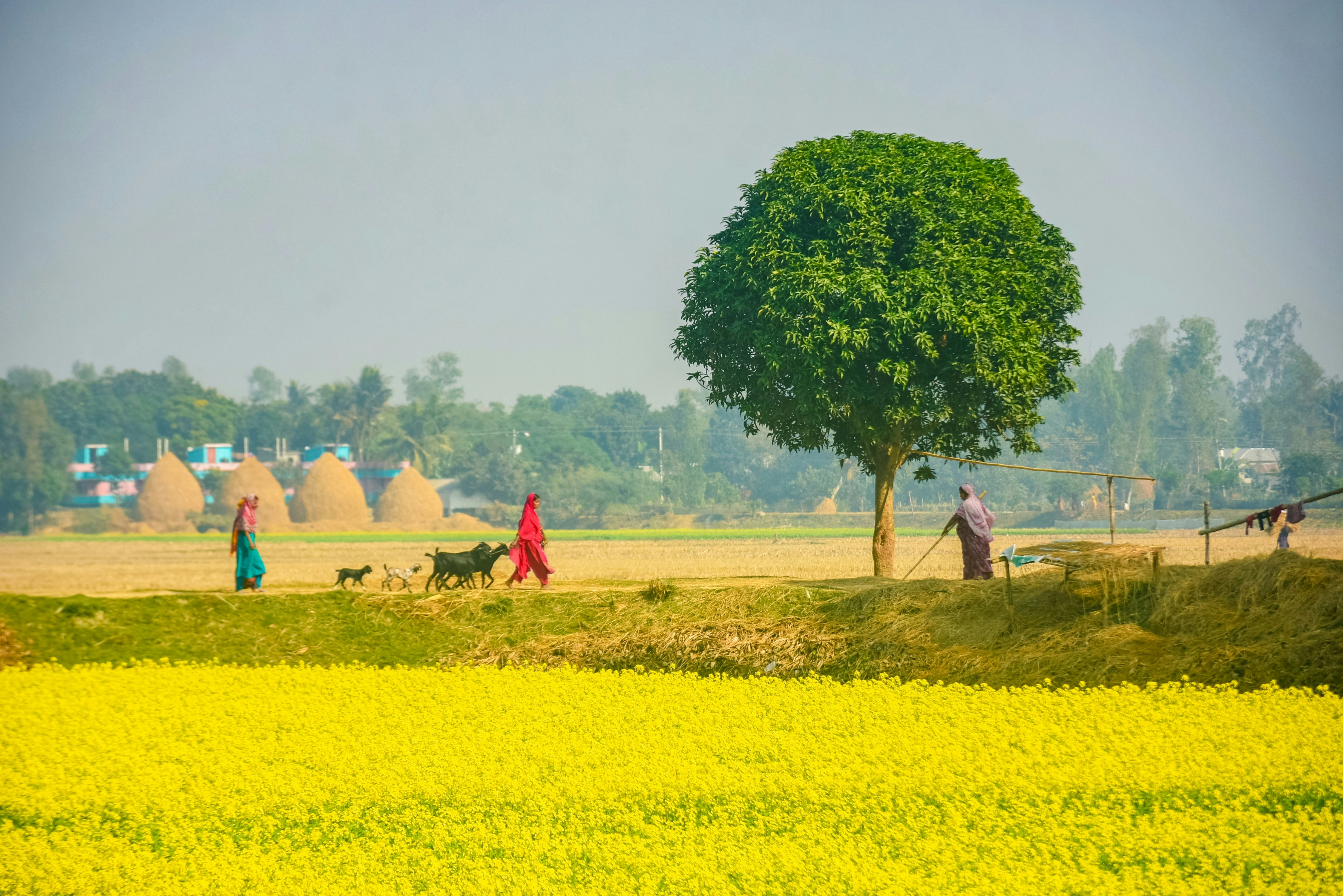 Village school in Zurkheda