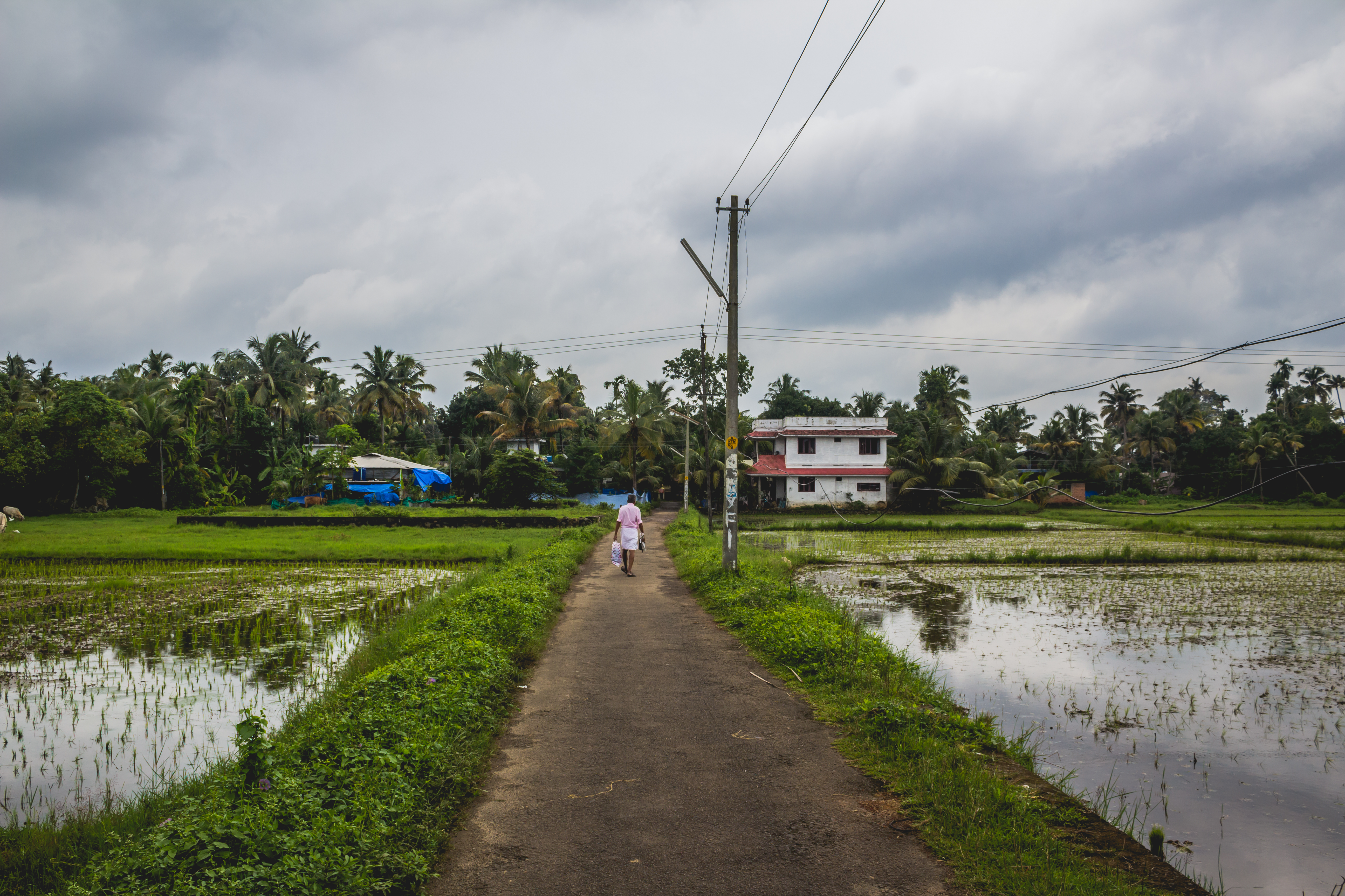 Farmers in Zurkheda
